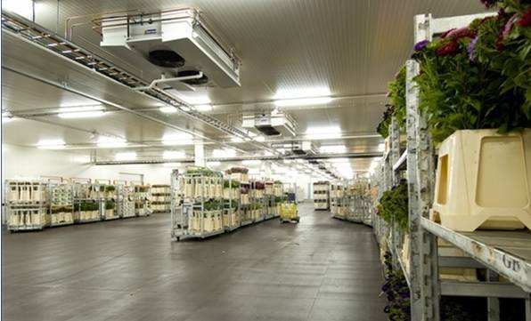 寧波建冷庫(kù)多少錢(qián)一立方？每立方能存多少貨物